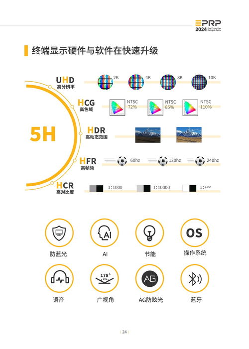 2024年度顯示設(shè)備護(hù)眼趨勢(shì)與計(jì)算機(jī)軟硬件技術(shù)開發(fā)融合報(bào)告