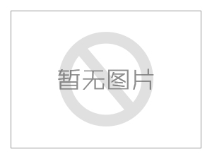 ZFB型倉(cāng)壁振動(dòng)器上使用的電機(jī)與普通振動(dòng)電機(jī)是否相同？